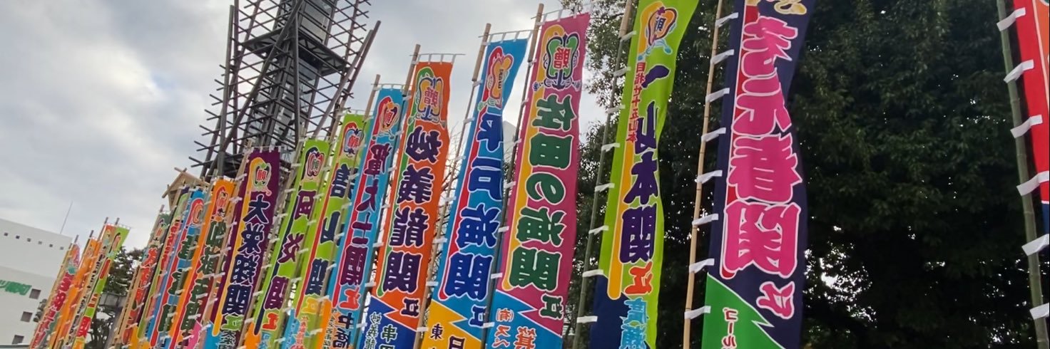 SumoCat banner
