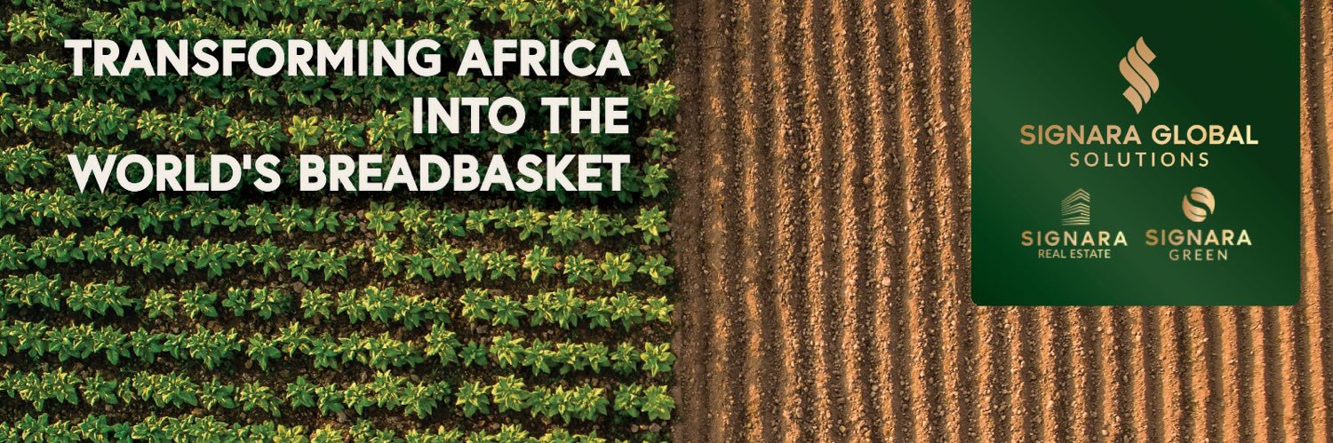 Signara Global Solutions, LLC banner