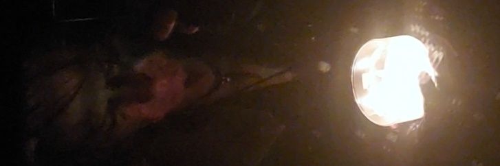 thevikingelf's profile banner image