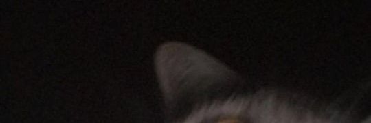 ilnlonaa's profile banner image