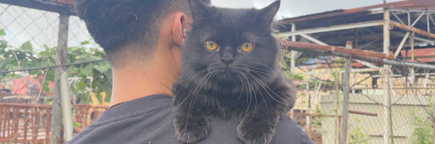chloeemanalo's profile banner image