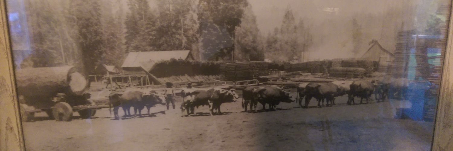rwwegand's profile banner image
