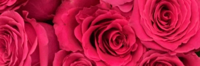 Janiceee23's profile banner image