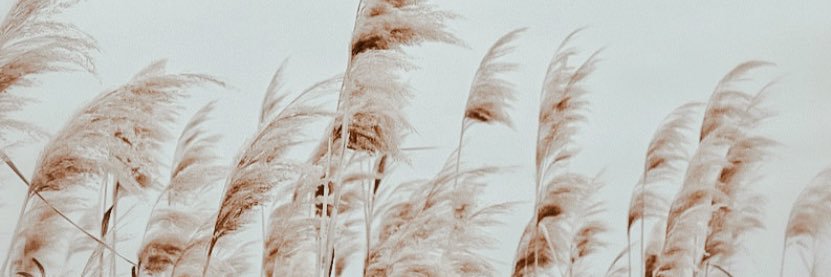 KaylyndGarner's profile banner image