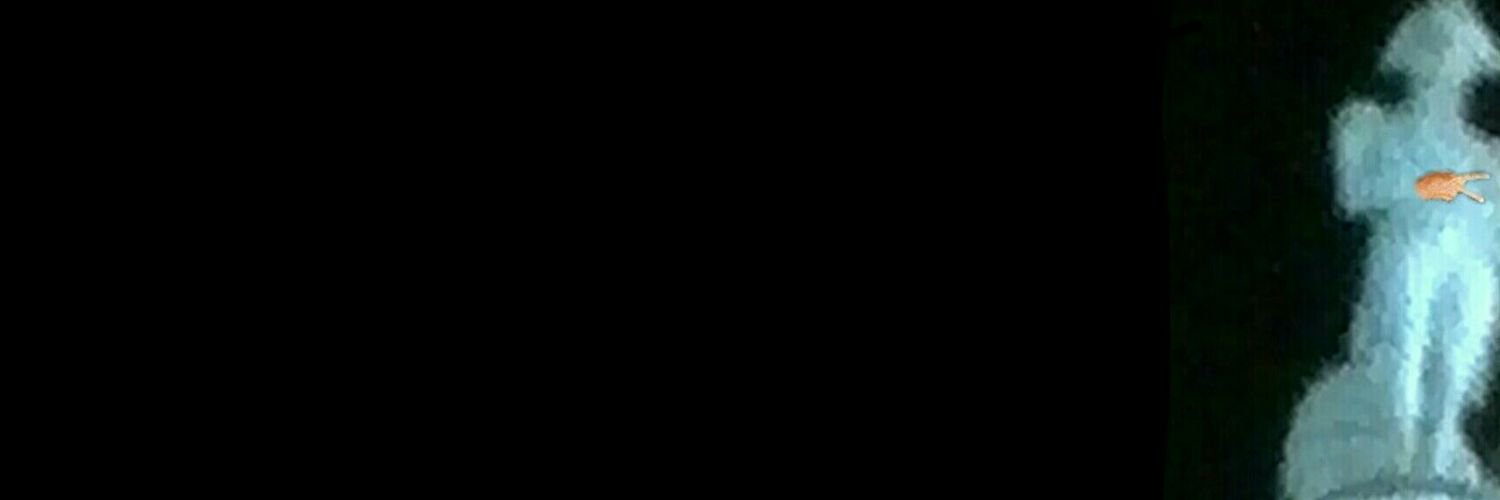 LaSinFin's profile banner image