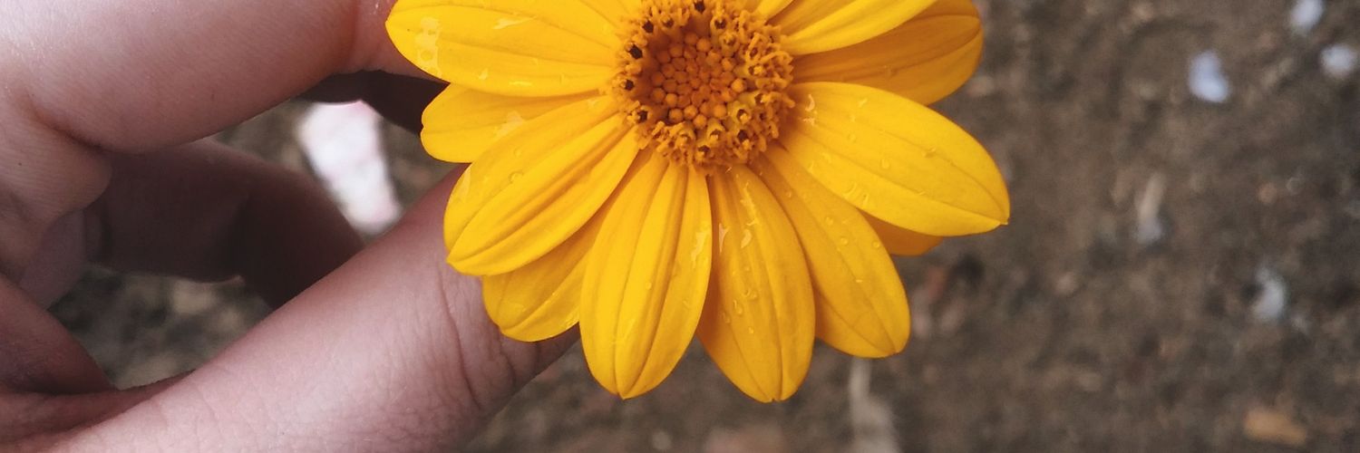 DessaValim's profile banner image