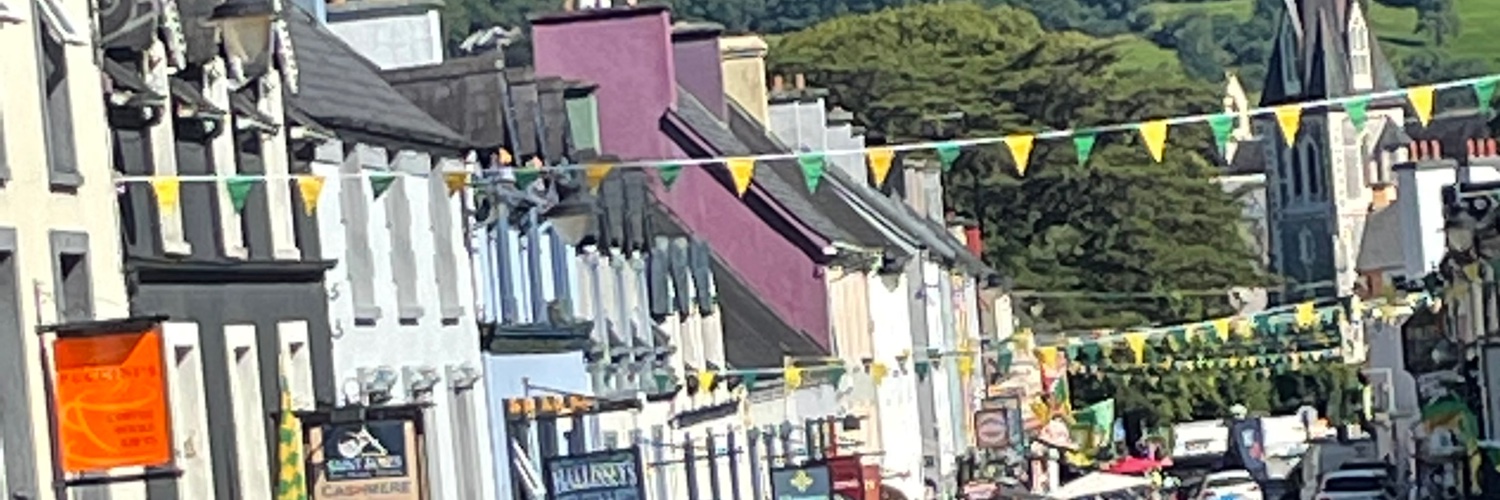 Ellen Crushell banner