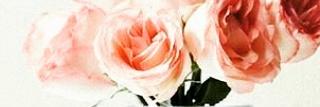 EvaAziza's profile banner image