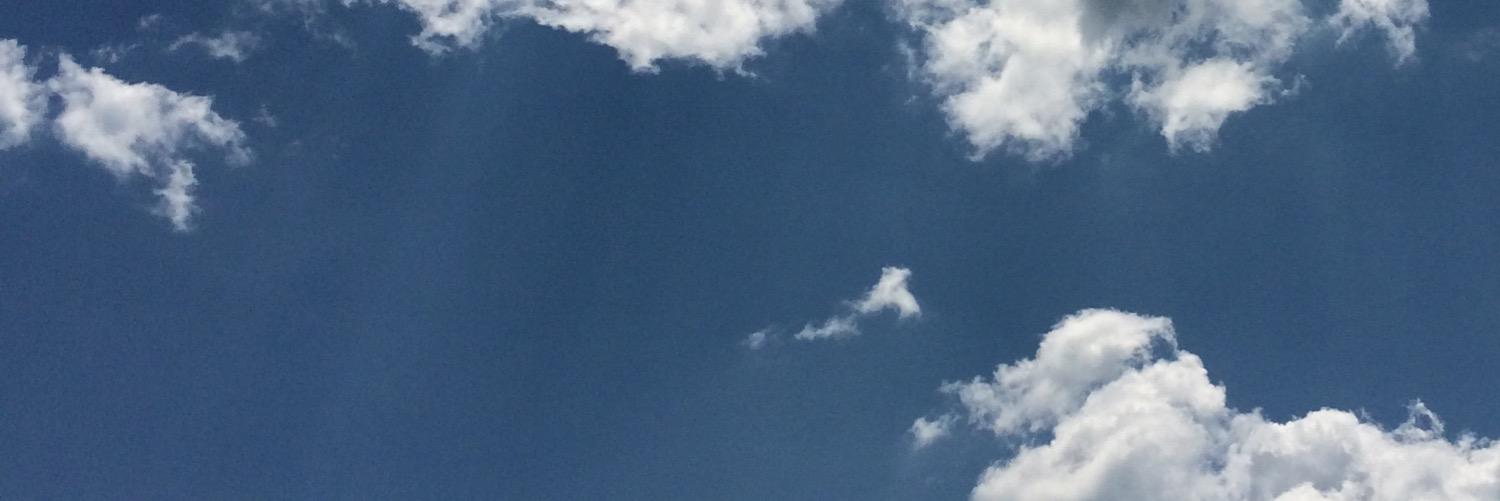 darcsilvia's profile banner image