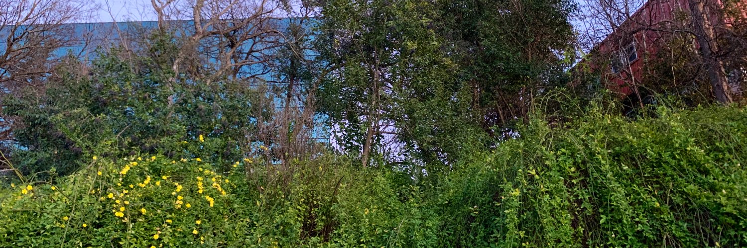 erinwalts's profile banner image
