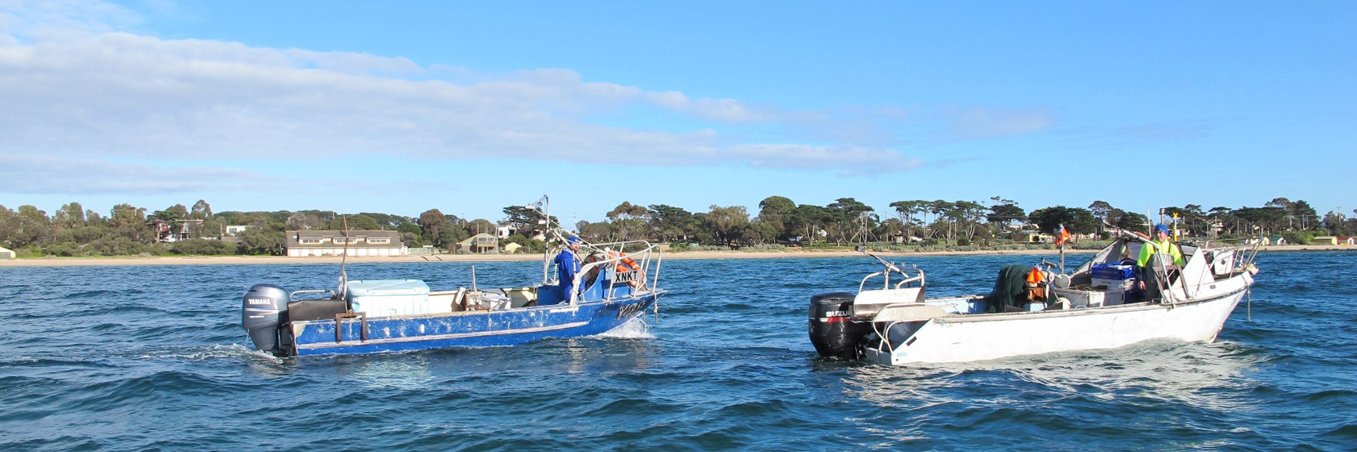VicSeafood's profile banner image