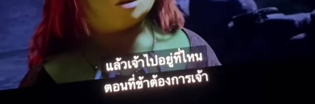 ม่อนๆเป็นแมวจร banner