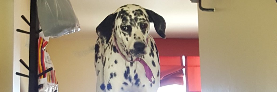 Leoaranamen's profile banner image