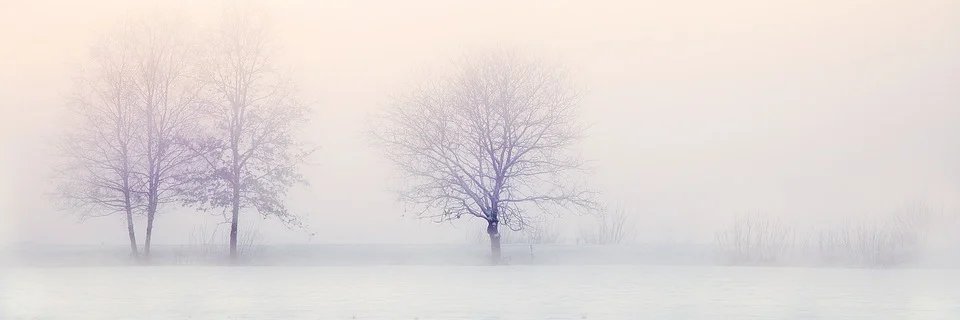 elin29v's profile banner image