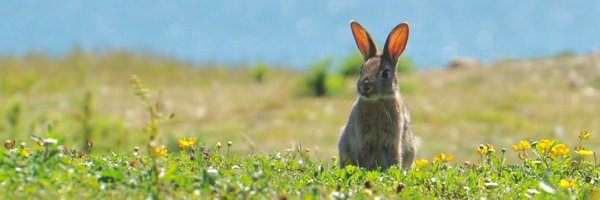 JenGovey Profile Banner