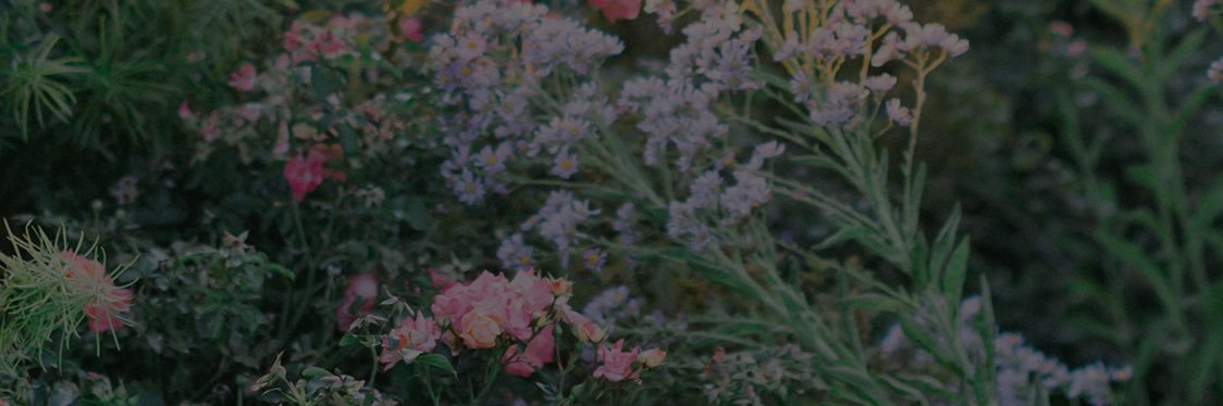 rekraphteb's profile banner image