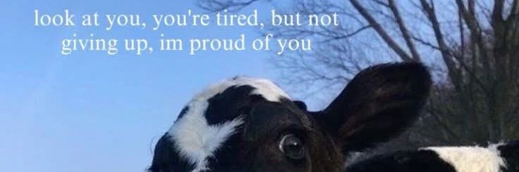 farm247's profile banner image
