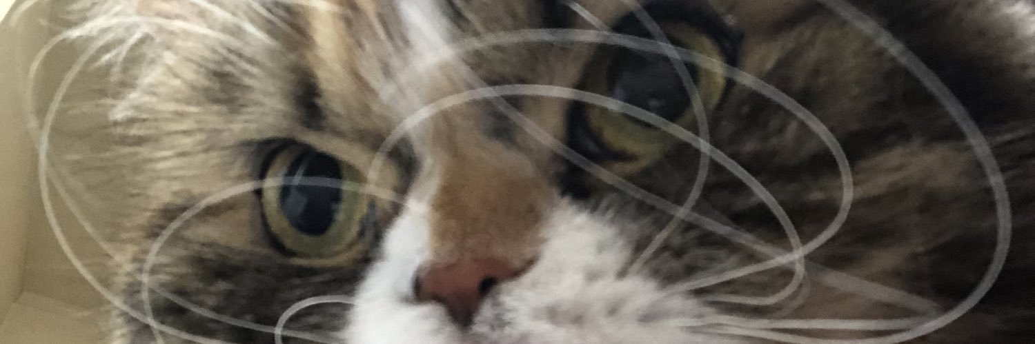 YkE3n's profile banner image