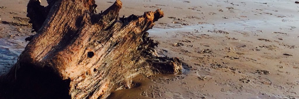 Indycube Barry banner