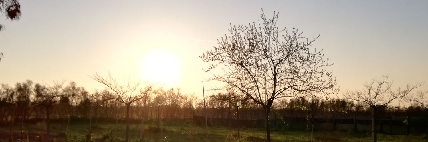 vecio88's profile banner image