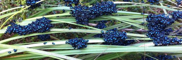 PeatL Profile Banner