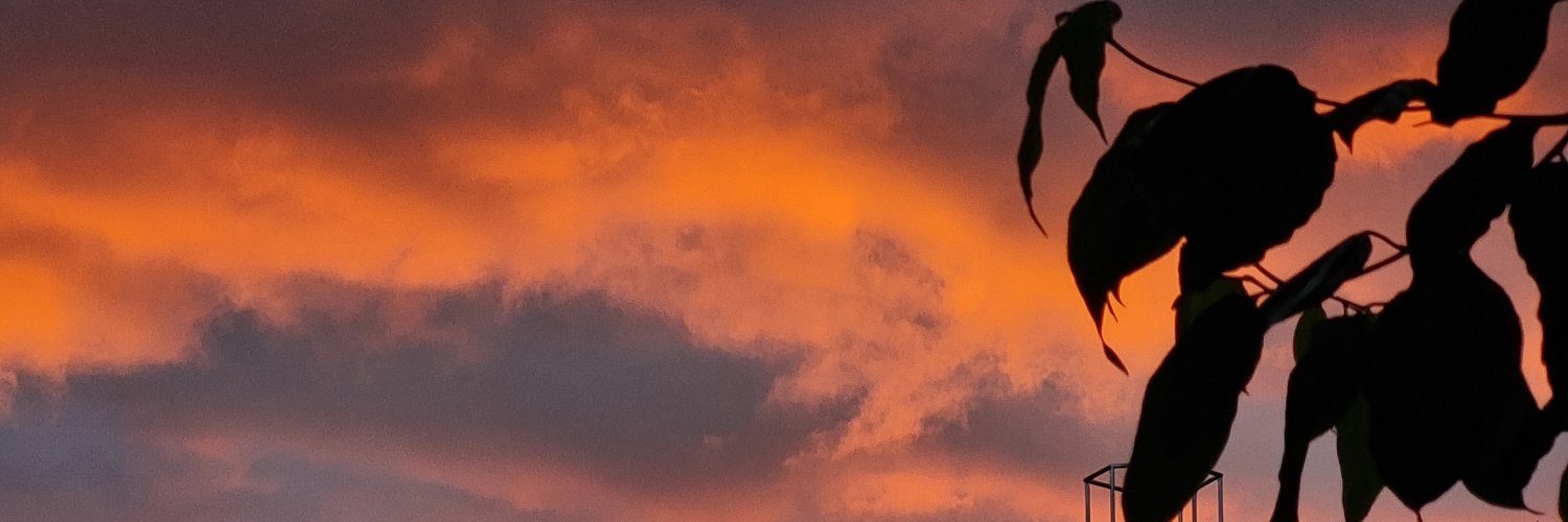vito___rocco's profile banner image
