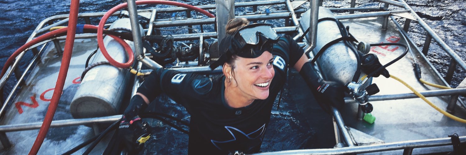 Whitney Berry banner