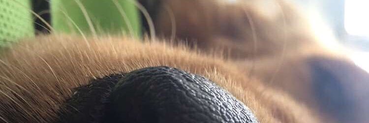 delgado_eric9's profile banner image