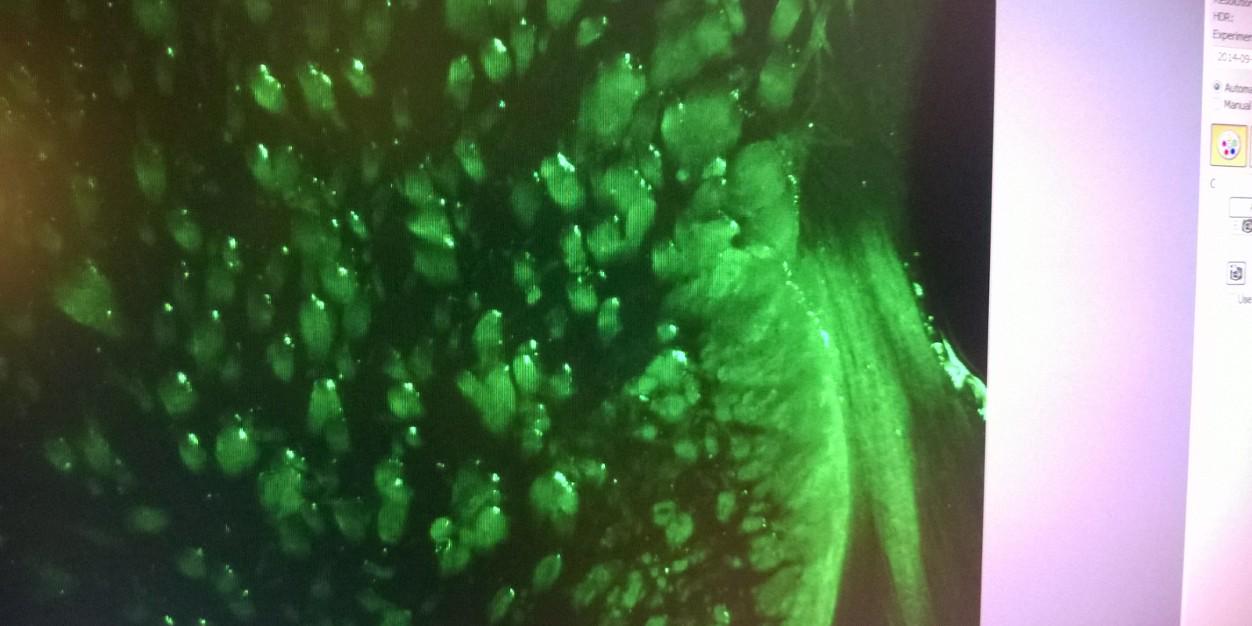 morgs1223's profile banner image