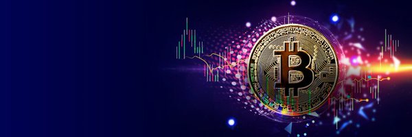 Crypt0Pirate_ Profile Banner