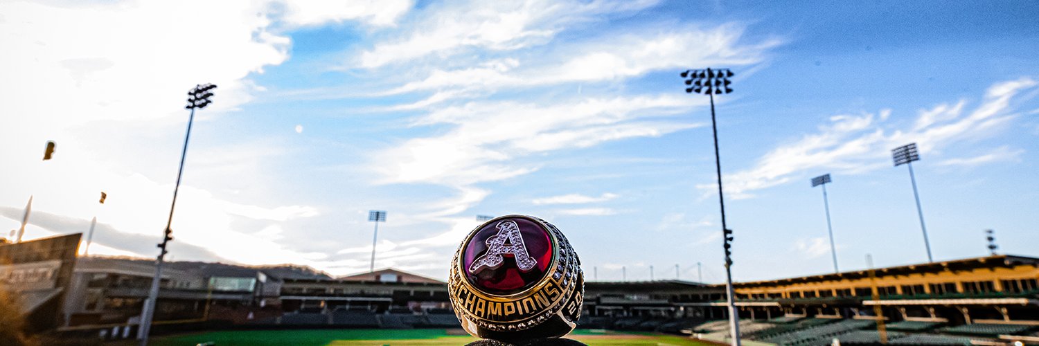 Arkansas Baseball Player Development's banner
