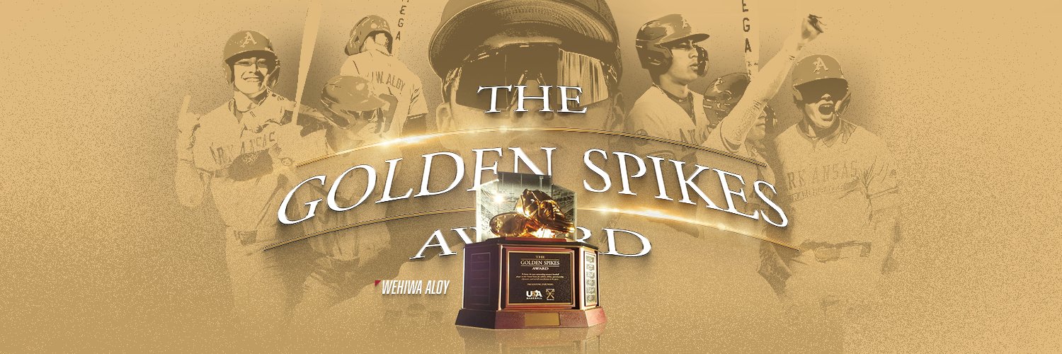 Arkansas Baseball Player Development banner