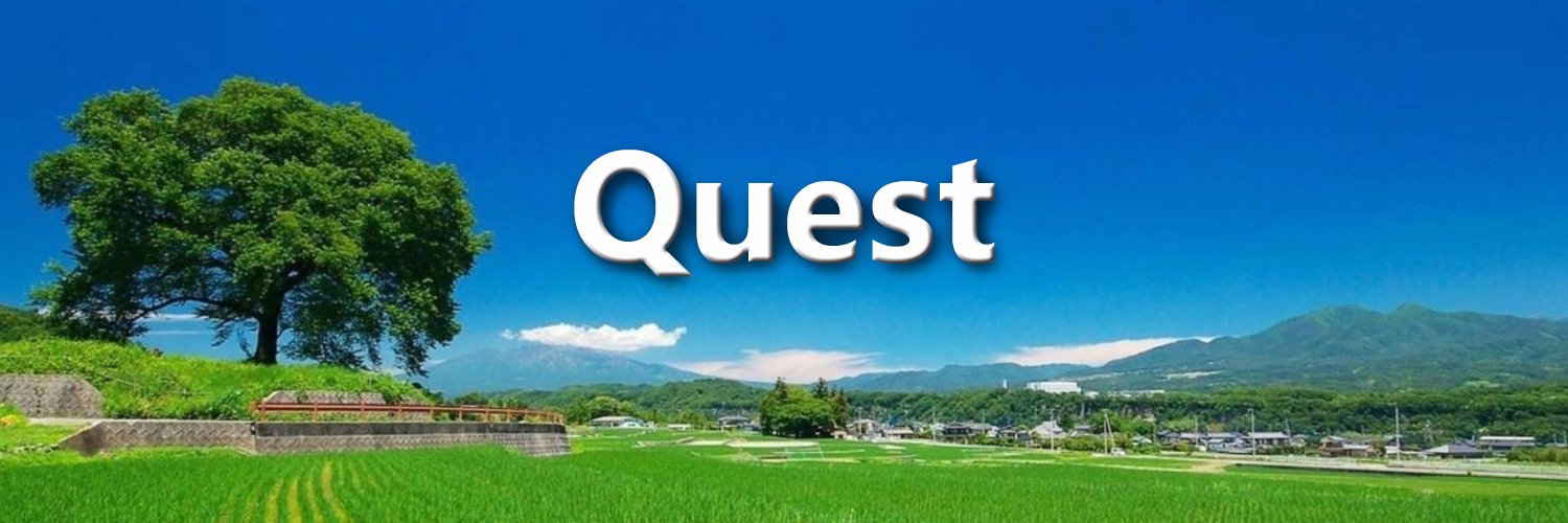 🇯🇵Quest's banner
