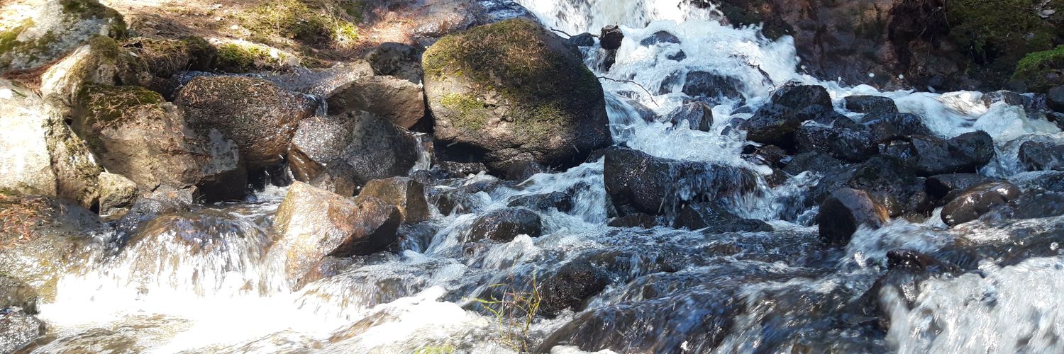 Niko Humalisto banner