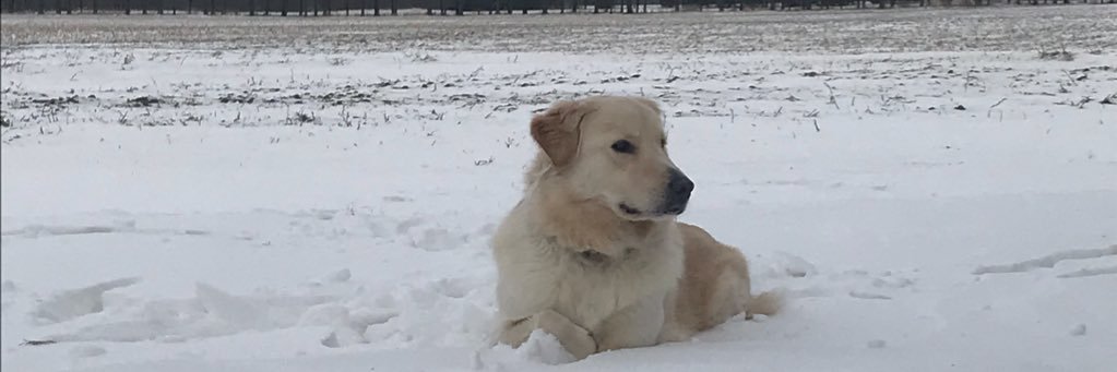 RyHarris87's profile banner image