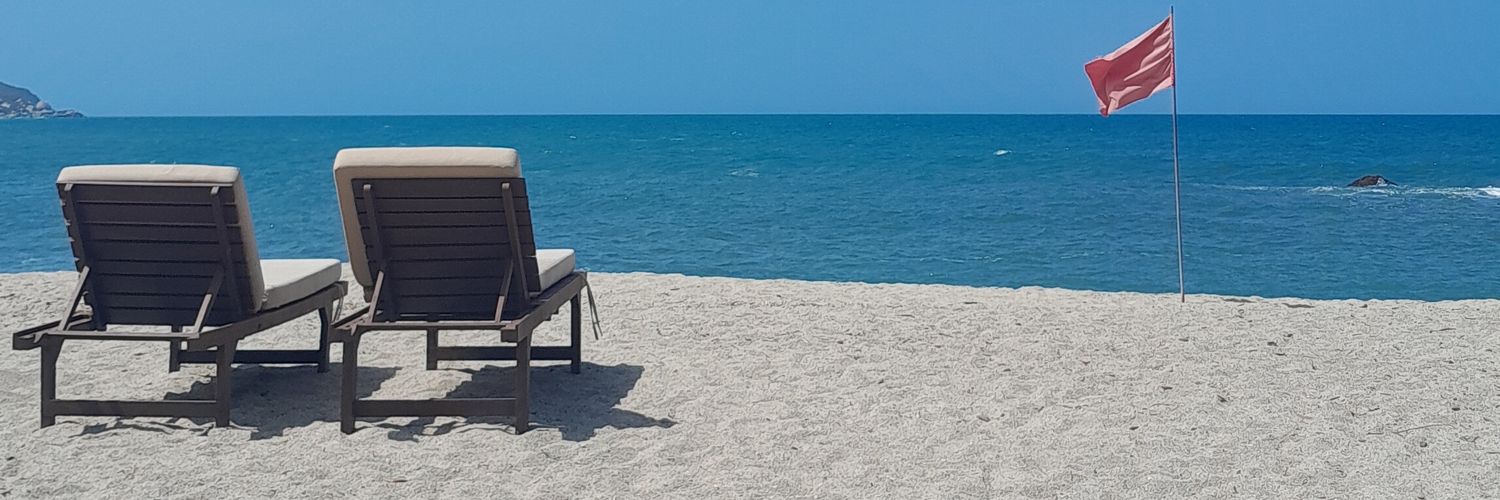 Darío Pineda banner