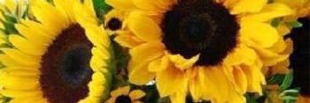 lojojohnson's profile banner image