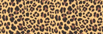 MynxBarb's profile banner image