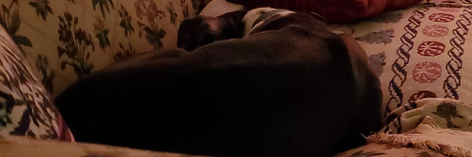 *Disney outro from the mid-late 2000's* banner