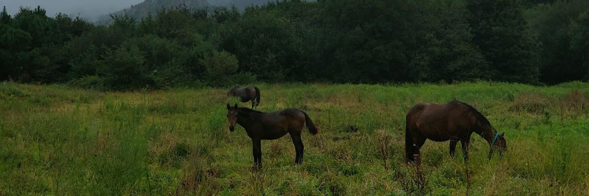 Judit_bl's profile banner image