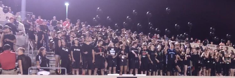 Lp Super Fans banner