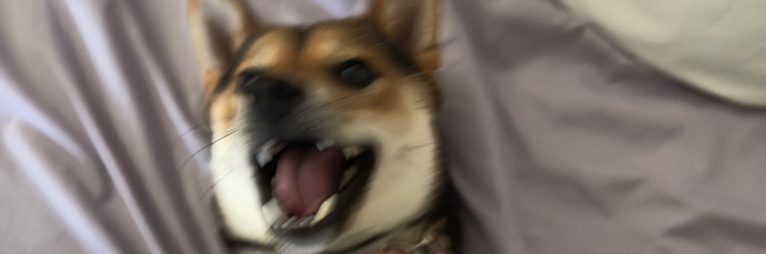 sandyy_li's profile banner image