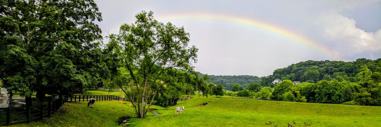 Franklin Tennessee banner