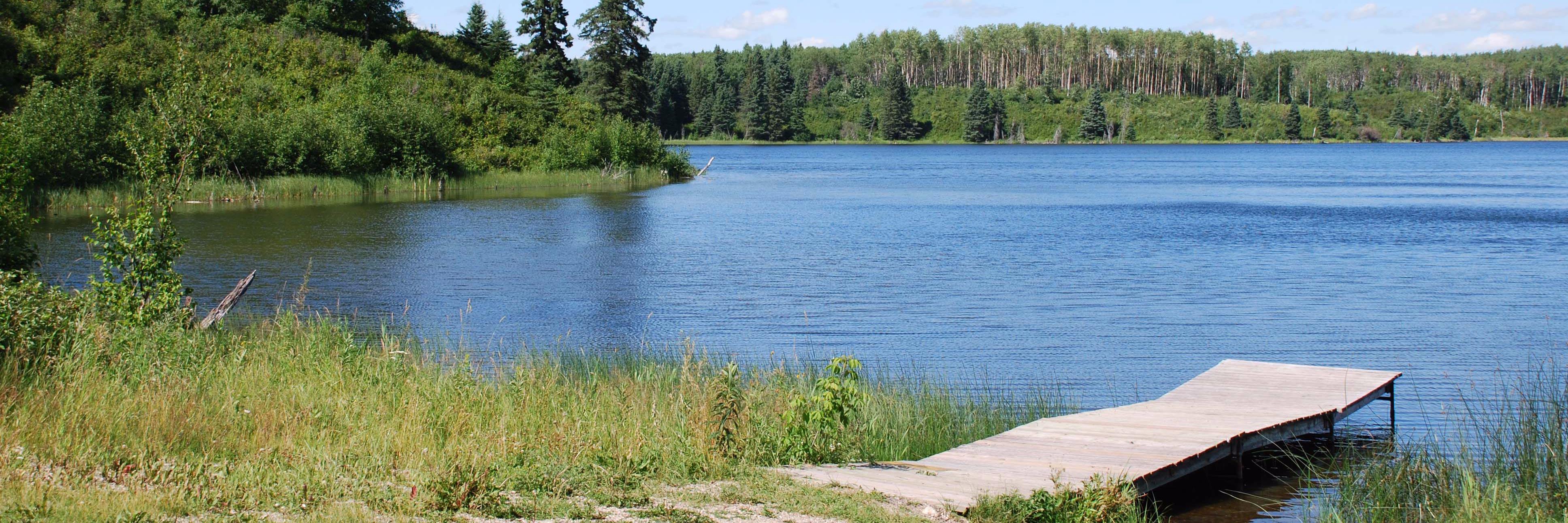 Sarah Otner banner