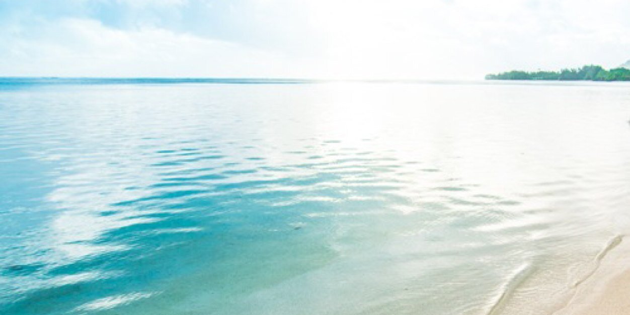 chelsschnapp's profile banner image