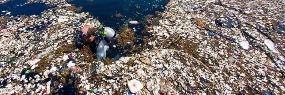 Plastic Free Jersey banner
