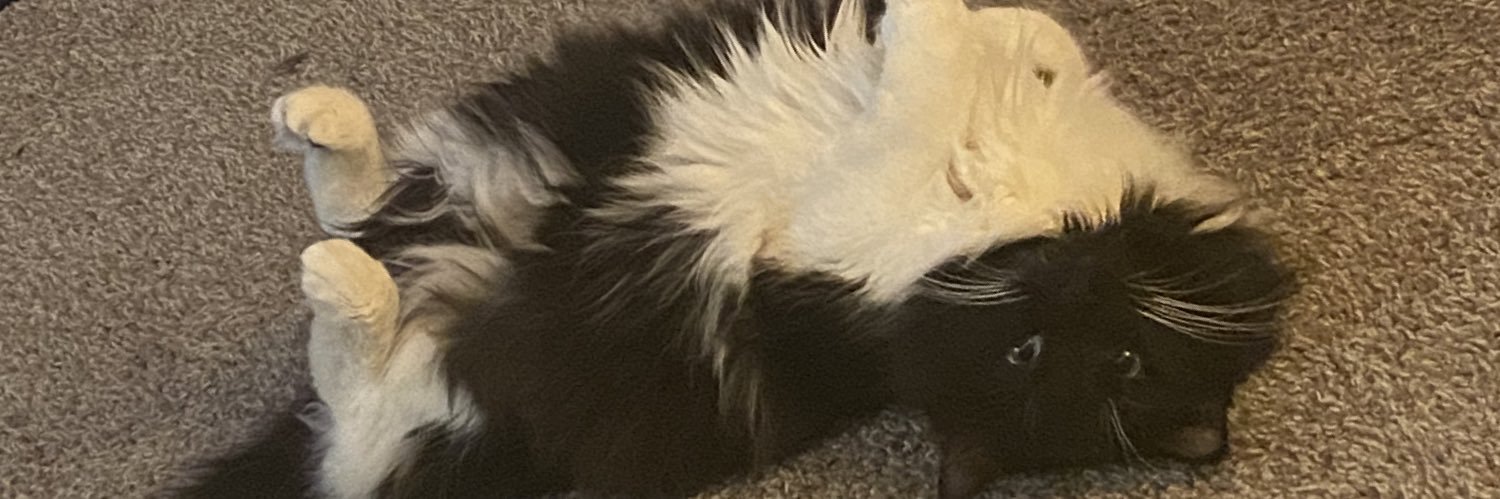 MirandaDahl_7's profile banner image
