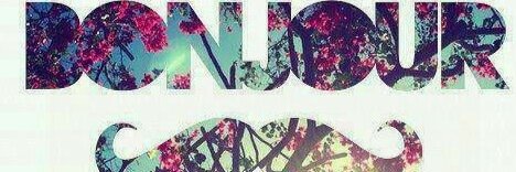 ivette banner