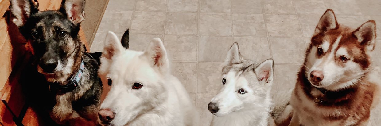 BrittnayRuff's profile banner image