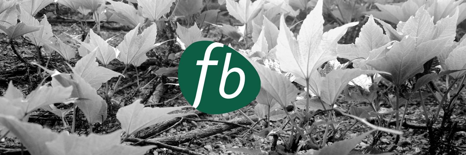 Futureboard's profile banner image